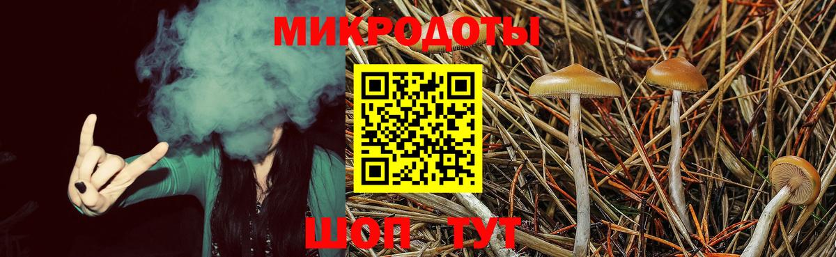 купить   Галлюциногенные грибы Psilocybe  Вход с VPN  Галлюциногенные грибы GOLDEN TEACHER  Елизово 
